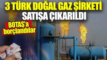 BOTAŞ'a borçlandılar! 3 Türk doğal gaz şirketi satışa çıkarıldı