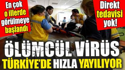 Ölümcül virüs Türkiye’de hızla yayılıyor! En çok o illerde görülmeye başlandı! Direkt tedavisi yok