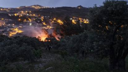 Antakya'da yıldırım düşen ağaçlık alanda yangın çıktı