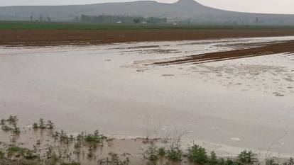 Nevşehir'i dolu yağışı ile araziler zarar gördü