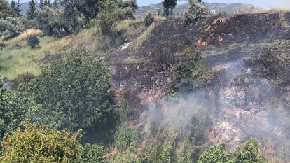 Aydın'da arazi yangını