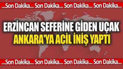 Erzincan seferine giden uçak Ankara'ya acil iniş yaptı
