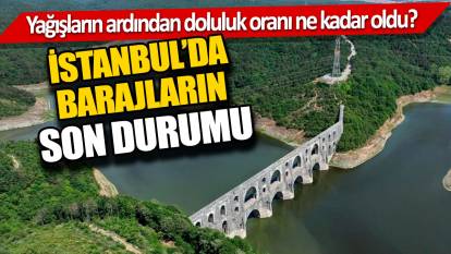 İstanbul’da barajların son durumu... Yağışların ardından doluluk oranı ne kadar oldu?