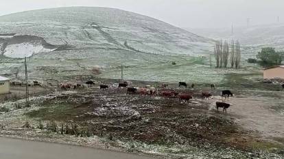 Erzurum'un yüksek kesimlerinde kar yağışı