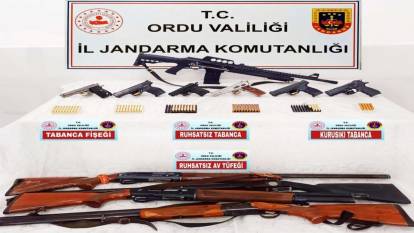 Ordu'da silah kaçakçılığı operasyonu: 1 tutuklama