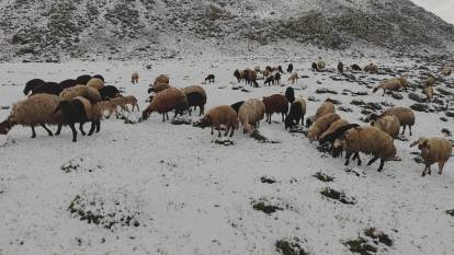 Bitlis’te mayıs ayında kar yağdı