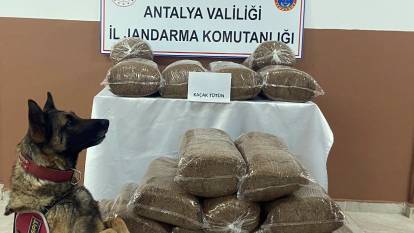 Antalya'da kilolarca kaçak tütün ele geçirildi