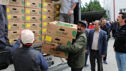 Erzincan'da çiftçilere fide dağıtıldı