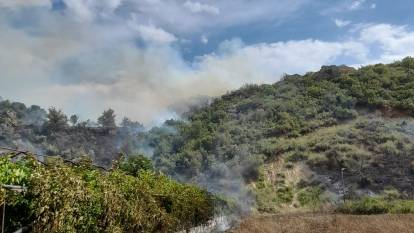 Antalya'da yangın: 5 dönüm kül oldu