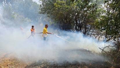 Balıkesir'de orman yangını  'Müdahale sürüyor'
