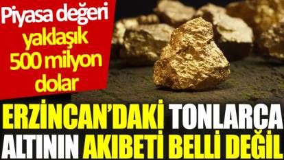 Erzincan’daki tonlarca altının akıbeti belli değil: Piyasa değeri yaklaşık 500 milyon dolar