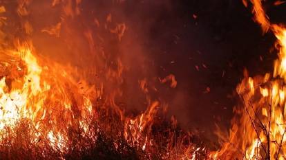 Tunceli’de otluk ve ağaçlık alanda yangın