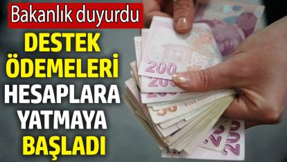 Destek ödemeleri hesaplara yatmaya başladı! Bakanlık duyurdu