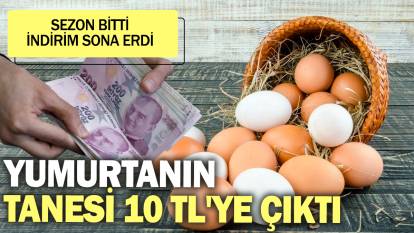 Yumurtanın tanesi 10 TL'ye çıktı: Sezon bitti, indirim sona erdi