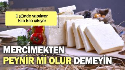 Mercimekten peynir mi olur demeyin. 1 günde yapılıyor kilo kilo çıkıyor