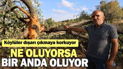 Köylüler dışarı çıkmaya korkuyor: Ne oluyorsa bir anda oluyor