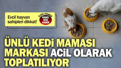 Ünlü kedi maması markası acil olarak toplatılıyor: Evcil hayvan sahipleri dikkat