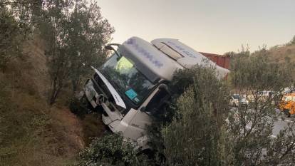 Kontrolden çıkan TIR ağaçlık alana daldı