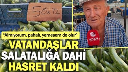 Vatandaşlar salatalığa dahi hasret kaldı: Almıyorum, pahalı, yemesem de olur