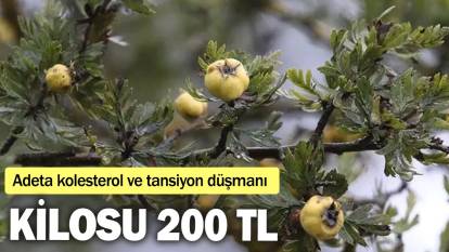 Adeta kolesterol ve tansiyon düşmanı: Kilosu 200 TL