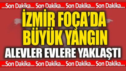 SON DAKİKA... İzmir Foça'da büyük yangın! Alevler evlere yaklaştı