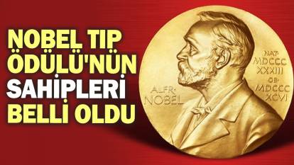 2024 Nobel Tıp Ödülü'nün sahipleri belli oldu