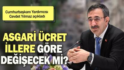 Cumhurbaşkanı Yardımcısı Cevdet Yılmaz açıkladı: Asgari ücret il il değişecek mi?