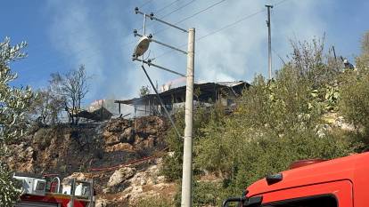 Antalya'da yangın: Onlarca küçükbaş hayvan telef oldu