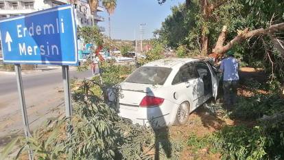 Otomobil ağaca vurdu, sürücü yaralı kurtuldu