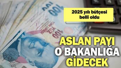 2025 yılı bütçesi belli oldu: Aslan payı o bakanlığa gidecek