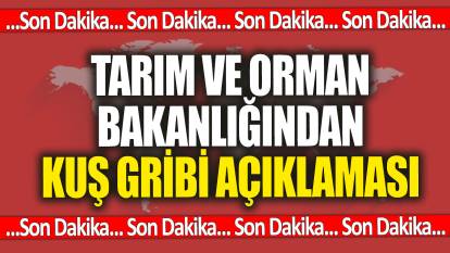 SON DAKİKA... Tarım ve Orman Bakanlığından kuş gribi açıklaması