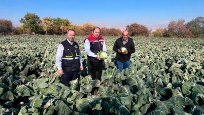 Erzincan'da kışlık sebze hasadı ile çiftçiler sezona merhaba dedi