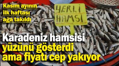 Karadeniz hamsisi yüzünü gösterdi ama fiyatlar cep yakıyor: Kasım ayının  ilk haftası ağa takıldı