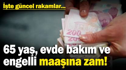 65 yaş, engelli, evde bakım maaşına zam! İşte güncel rakamlar...