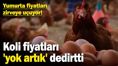 Yumurta fiyatları zirveye uçuyor! Koli fiyatları 'yok artık' dedirtti