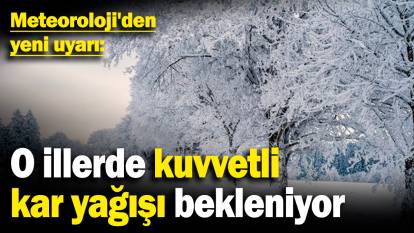 Meteoroloji'den yeni uyarı: O illerde kuvvetli kar yağışı bekleniyor