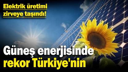 Güneş enerjisinde rekor Türkiye'nin! Elektrik üretimi zirveye taşındı