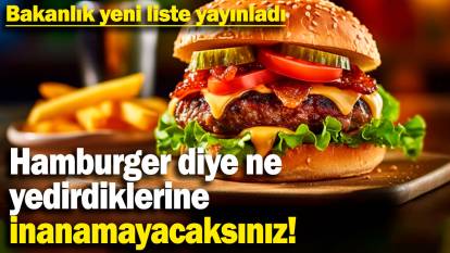 Hamburger diye ne yedirdiklerine inanamayacaksınız! Bakanlık yeni liste yayınladı