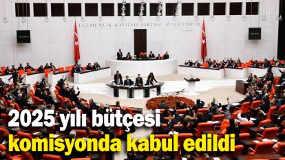 2025 yılı bütçesi  komisyonda kabul edildi