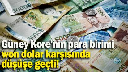 Güney Kore'nin para birimi won dolar karşısında düşüşe geçti!