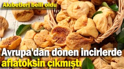 Avrupa'dan dönen İncirlerde aflatoksin çıkmıştı! Akıbetleri belli oldu