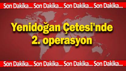 Son dakika... Yenidoğan Çetesi'nde 2. operasyon