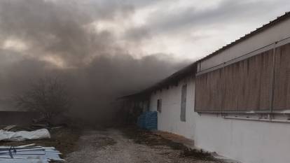 Tavuk çiftliğinde yangın meydana geldi