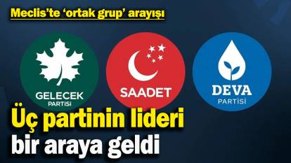 Mecliste ‘ortak grup’ arayışı: Deva, Saadet ve Gelecek liderleri bir araya geldi