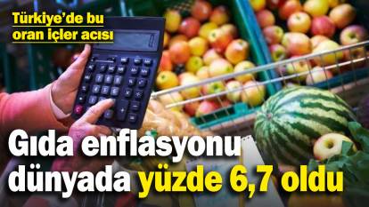 Gıda enflasyonu dünyada yüzde 6,7 olurken Türkiye’de bu oran iç çektirdi