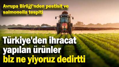 Türkiye'den ihracat yapılan ürünler biz ne yiyoruz dedirtti! Avrupa Birliği'nden pestisit ve salmonella tespiti