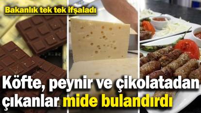 Köftede tırnaklı eti, peynirde mantar, çikolata ve kahveden ilaç çıktı! Bakanlık o ürünleri ifşaladı