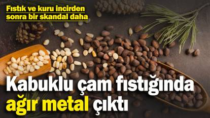 Fransa ve İsveç’ten sonra İtalya da iade etmeye başladı! Türkiye’den gönderilen çam fıstığında ağır metal çıktı