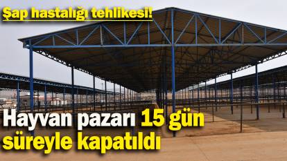 Hayvan pazarı 15 gün süreyle kapatıldı: Şap hastalığı tehlikesi!