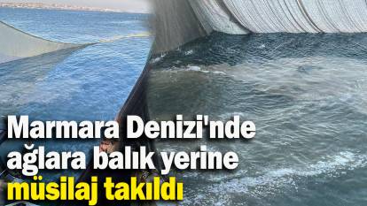 Marmara Denizi'nde ağlara balık yerine müsilaj takıldı